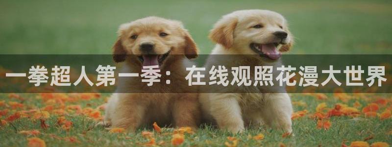 acg动漫网入口