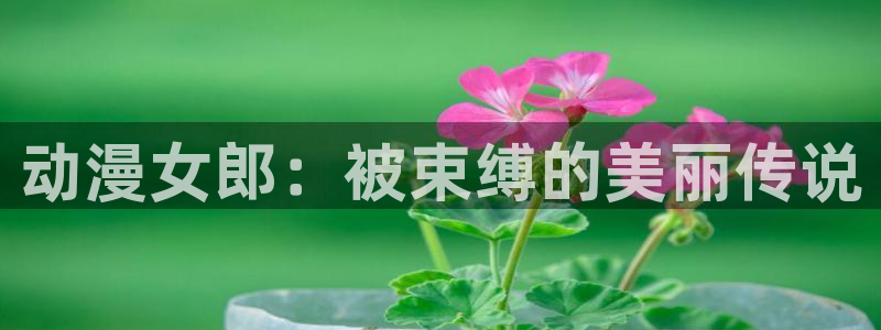 acg动漫官网